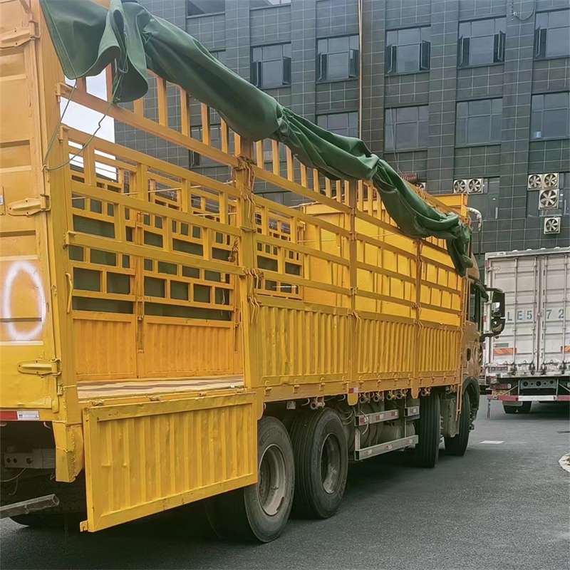 河北保定望都县至宜宾货运专线一站式物流服务，让货物畅行无忧